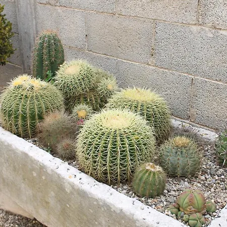 Li Putti Luxury לינה וארוחת בוקר גלטונה