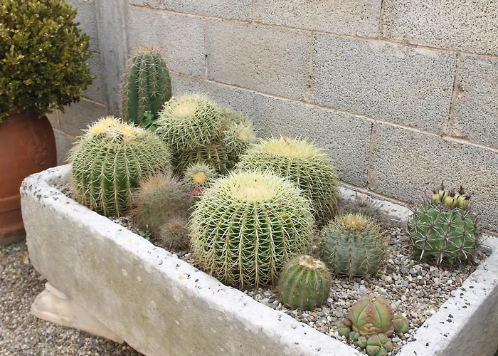 Li Putti Luxury Alojamento de Acomodação e Pequeno-almoço Galatone