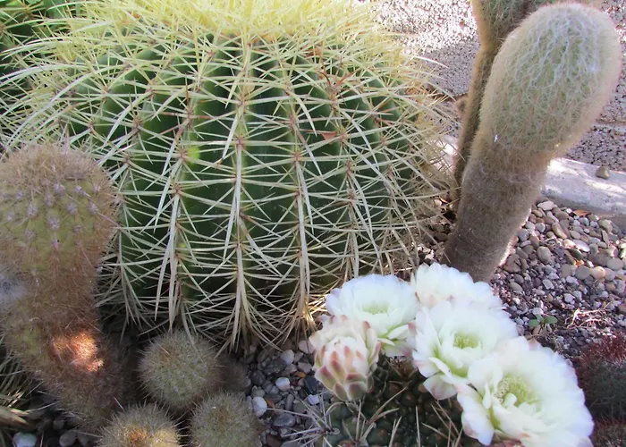 Li Putti Luxury Oda ve Kahvaltı